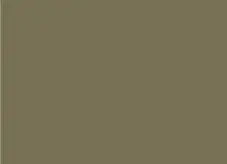 Lichen roof colour