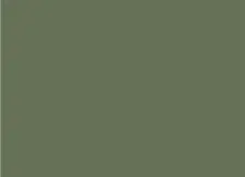 Mist Green roof colour
