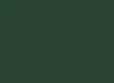 Permanent Green roof colour